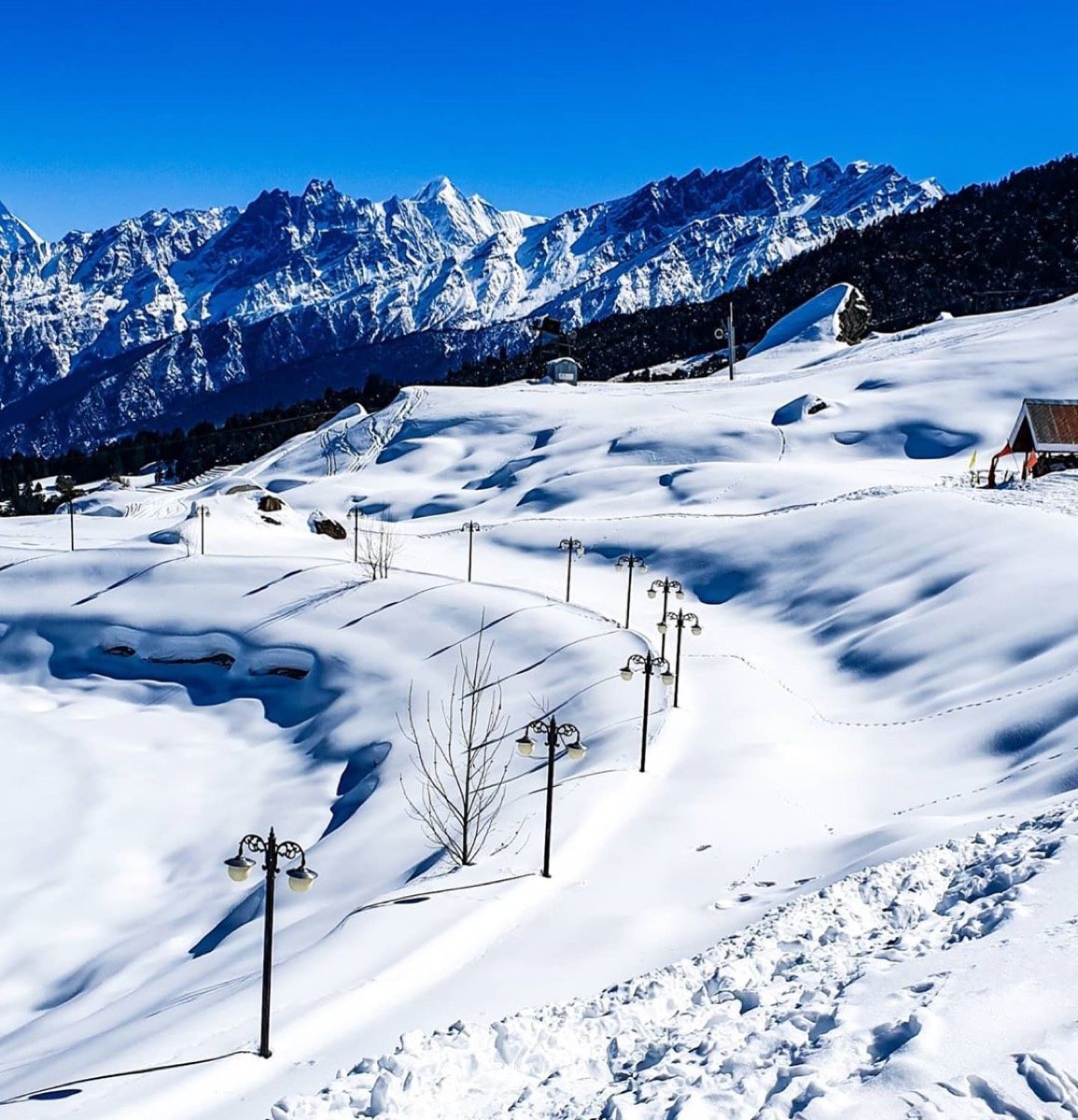 Auli