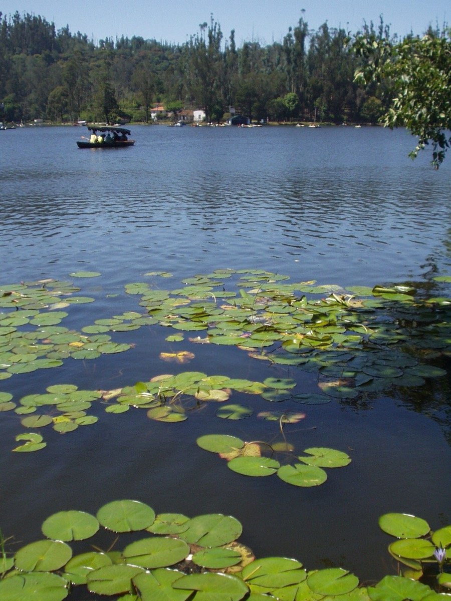 Kodaikanal