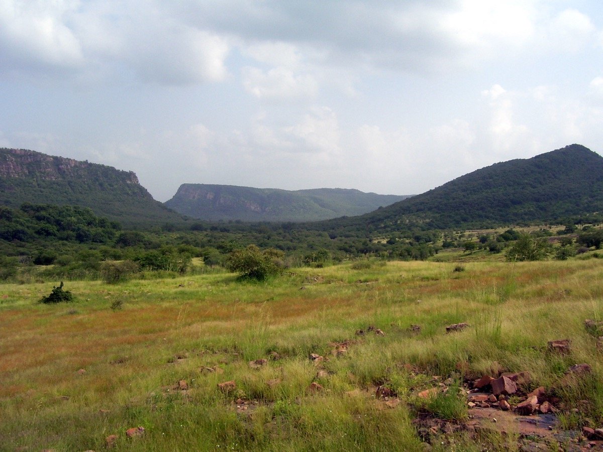 Ranthambore