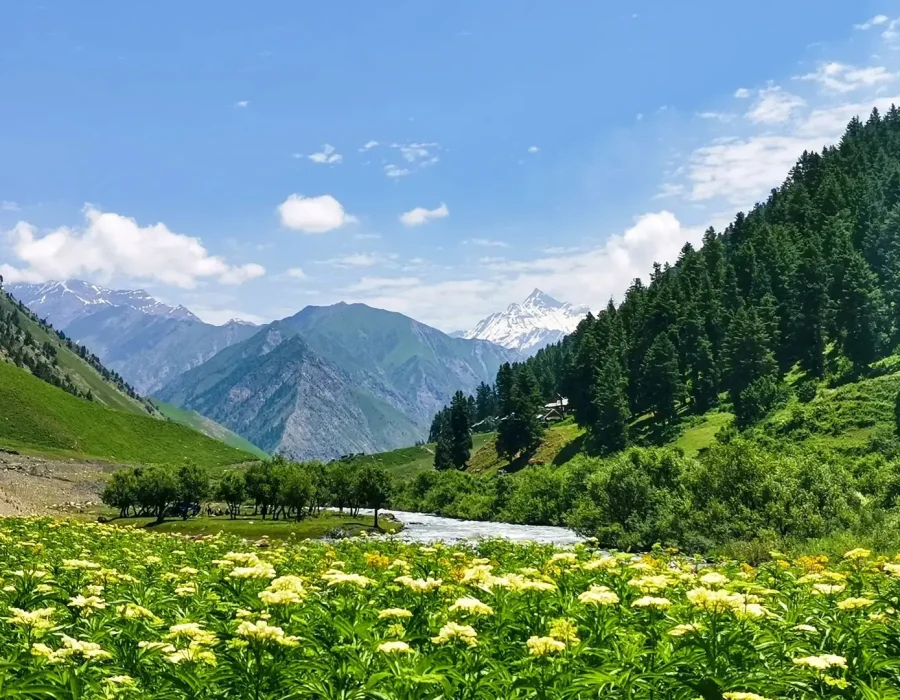 Gurez-Valley-Kashmir-1